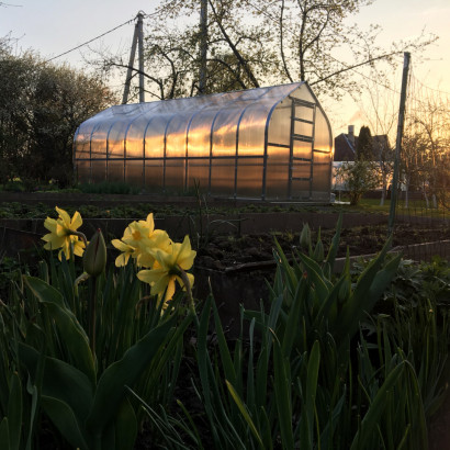 Siltumnīca STANDART KLASIKA 15