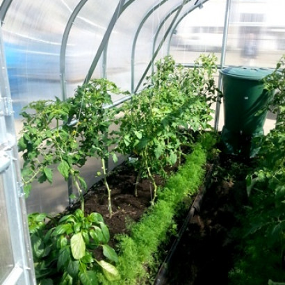 Siltumnīca STANDART KLASIKA 15